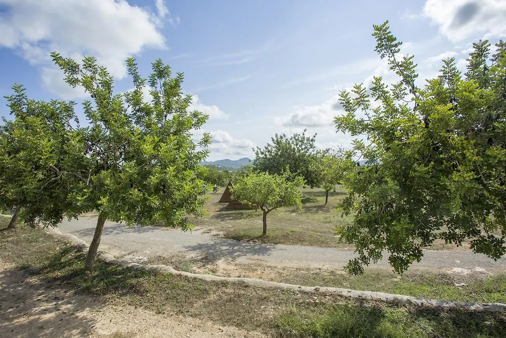 Las Mariposas Club Villa San Rafael De Sa Creu