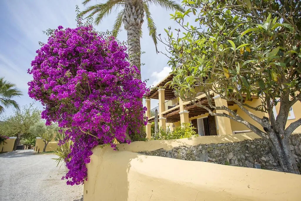 فندق سانت رافييل دي سا كروفي  Las Mariposas Club إسبانيا